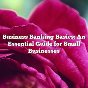 Business Banking Basics: An Essential Guide for Small Businesses
