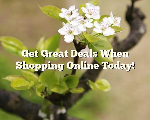 Get Great Deals When Shopping Online Today!
