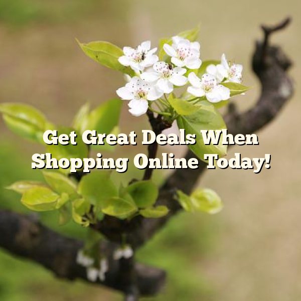 Get Great Deals When Shopping Online Today!