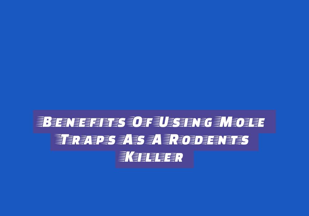 Tracing The Rich History Behind The Rise Of The Yellow Turban As A Fashionable Headgear Tracing The Rich History Behind The Rise Of The Yellow Turban As A Fashionable Headgear - other