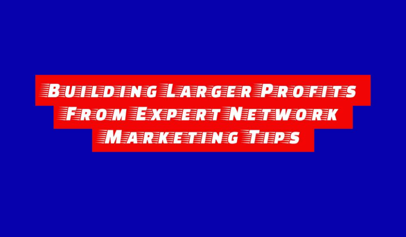 Building Larger Profits From Expert Network Marketing Tips 1 building larger profits from expert network marketing tips
