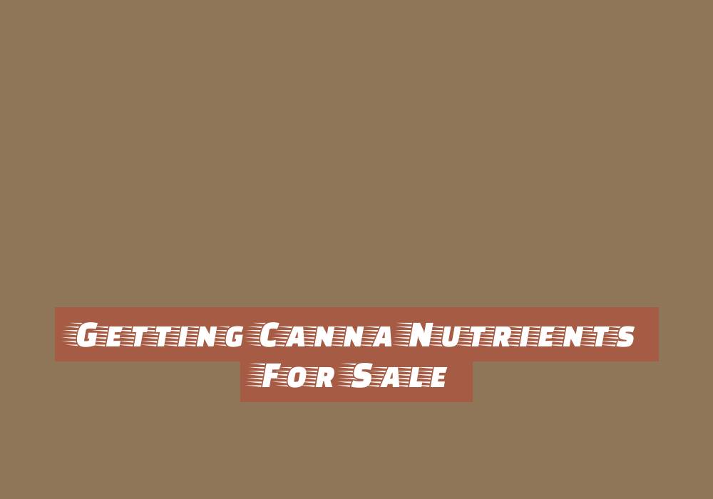 Great Homeschooling Tips That Have Been Proven To Work! Great Homeschooling Tips That Have Been Proven To Work! - family