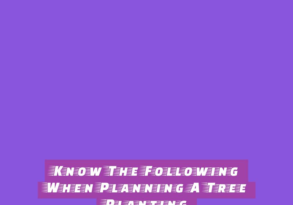 Famous Playthings That Kids Desire For Christmas Season Famous Playthings That Kids Desire For Christmas Season - christmas