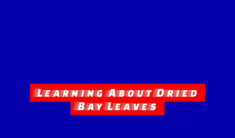 Learning About Dried Bay Leaves 10 learning about dried bay leaves