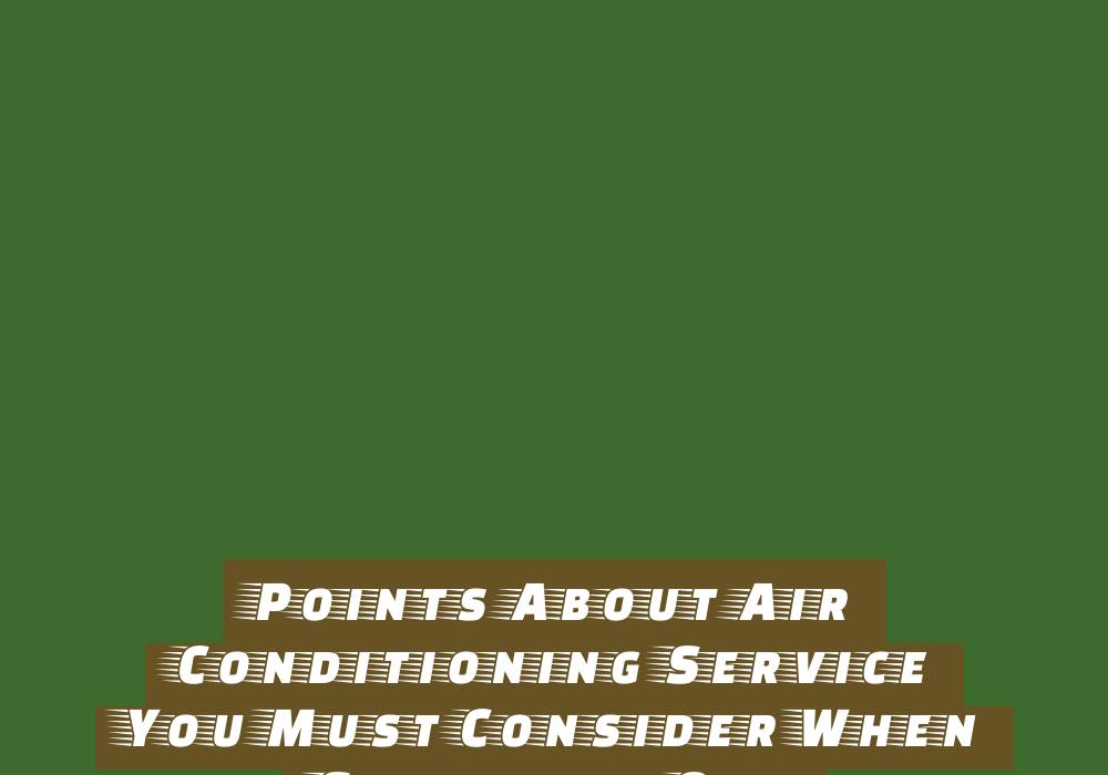 Are There Truth In Claims About Royal Paulownia Are There Truth In Claims About Royal Paulownia - hobbies