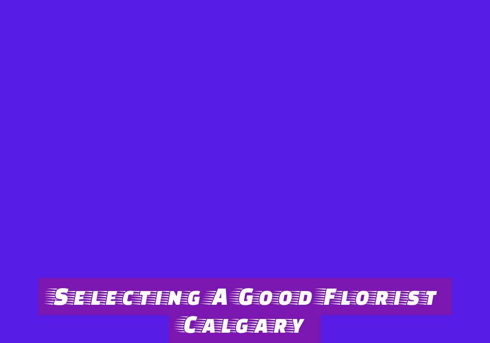 Build Your Whale Watching Tour Business Through Marketing Plan Build Your Whale Watching Tour Business Through Marketing Plan - business