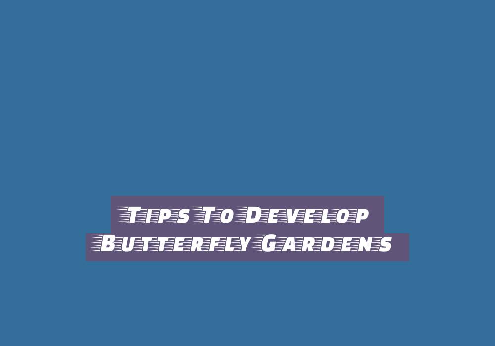 Hiring A Business IT Support Manchester Provider Hiring A Business IT Support Manchester Provider - computers