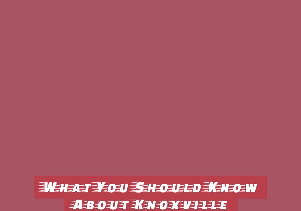 All You Need To Know About Social Media Management Company All You Need To Know About Social Media Management Company - website-promotion