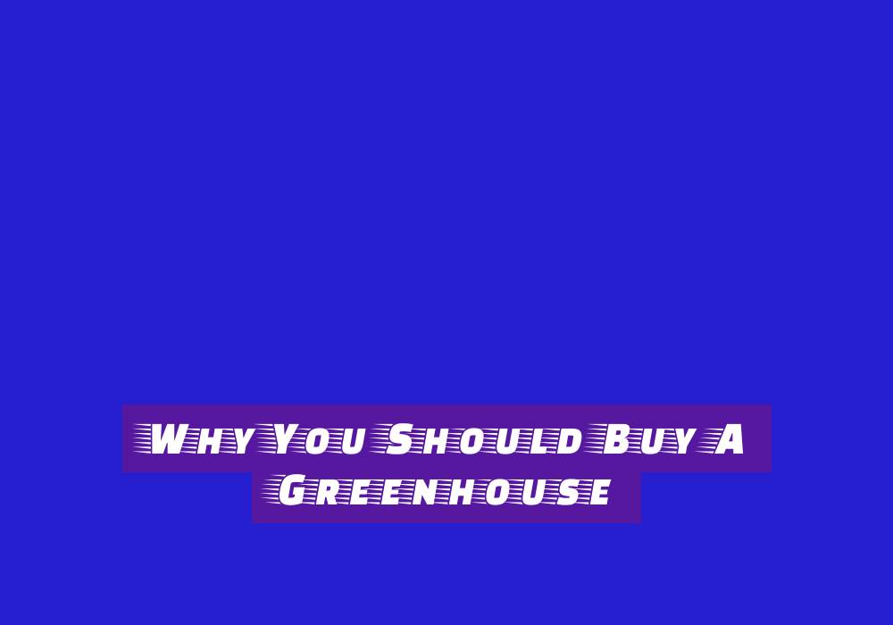 How To Choose Kitchen Dish Towels How To Choose Kitchen Dish Towels - business