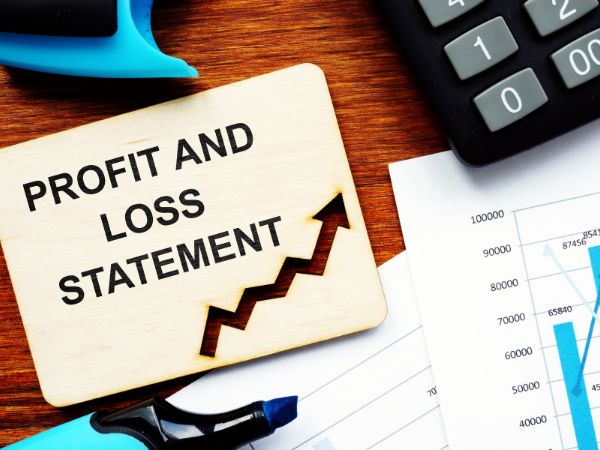 How to Read a Profit and Loss Statement 2 How to Read a Profit and Loss Statement